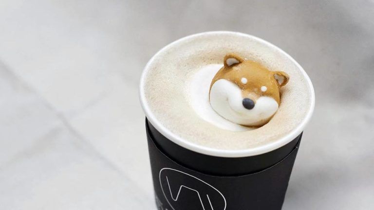 shiba inu latte