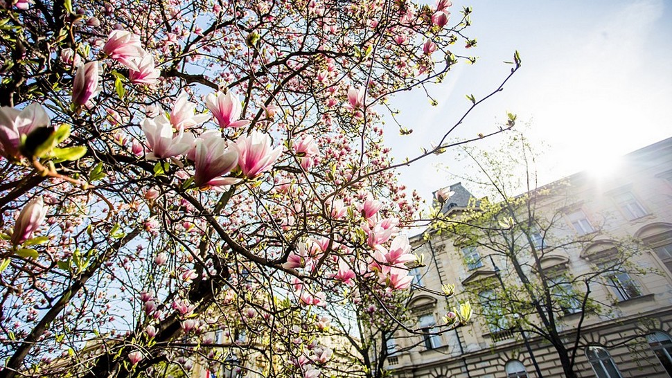 Lice grada: proljeće u zagrebačkim parkovima