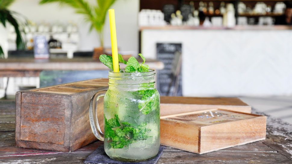 Sljedeći vikend na Zrinjevcu pijemo mojito