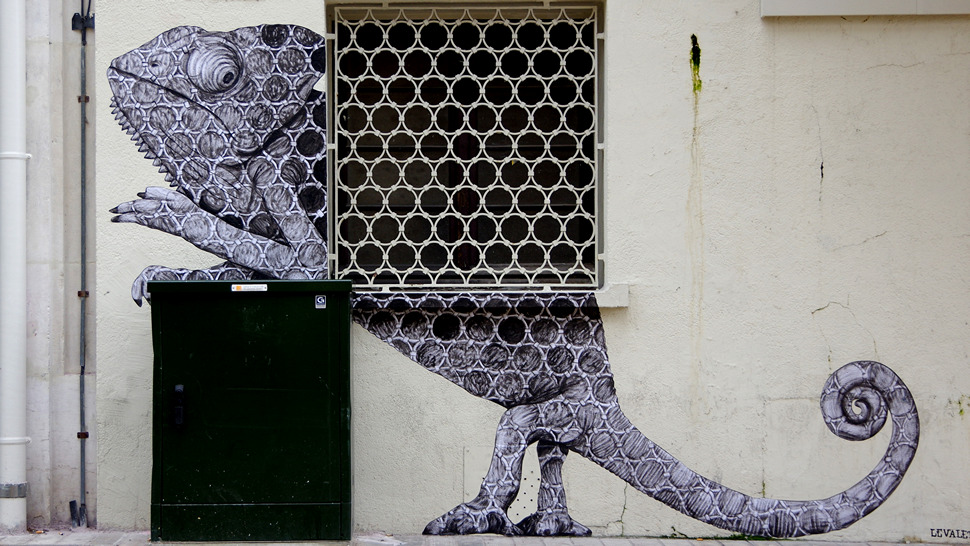 ‘Okolo’ je novi i jako cool art projekt u Zagrebu