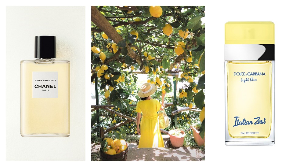 Najmirisniji citrusni parfemi za ljeto