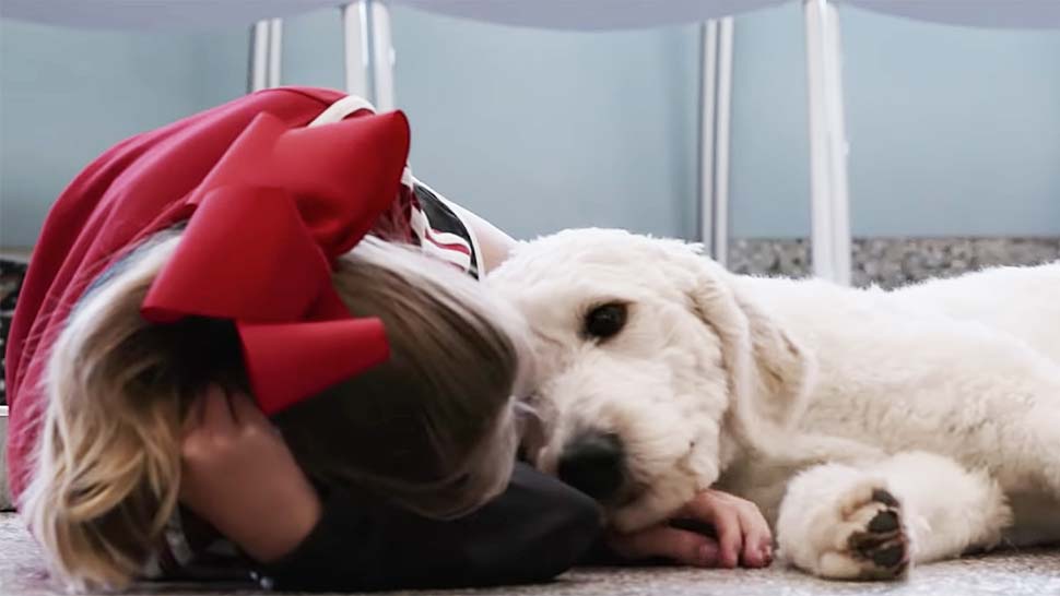 Na Netflix dolazi dokumentarac o psima za koji će vam trebati maramice