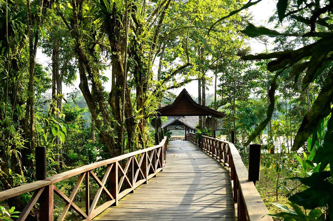Džungla zove Sukau-Rainforest-Lodge