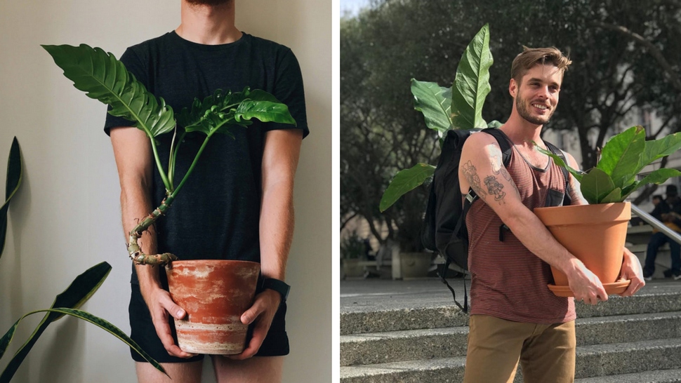 Journal Man: Dečki s Instagrama s kojima uzgajanje kućnih biljaka neće biti problem