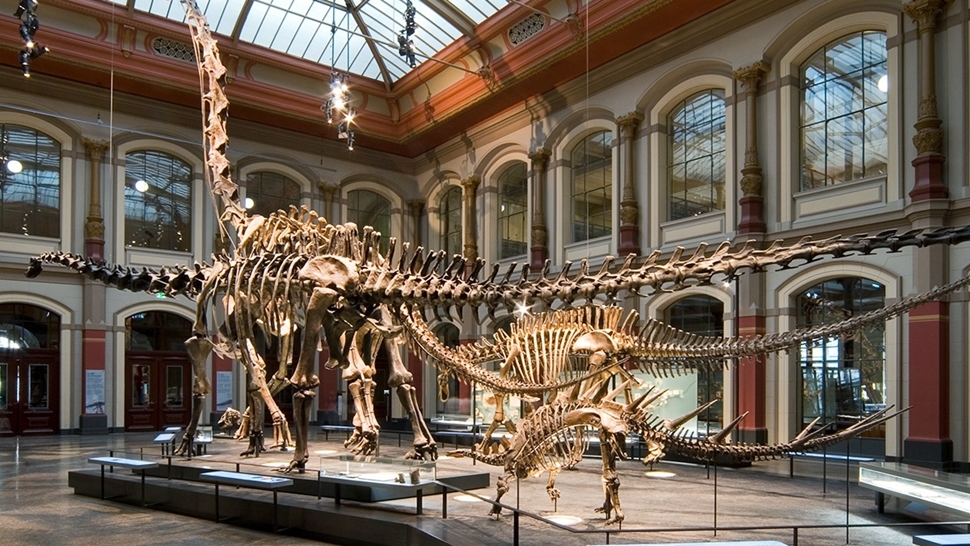 Ako volite dinosaure ovo su najbolji muzeji koje morate posjetiti