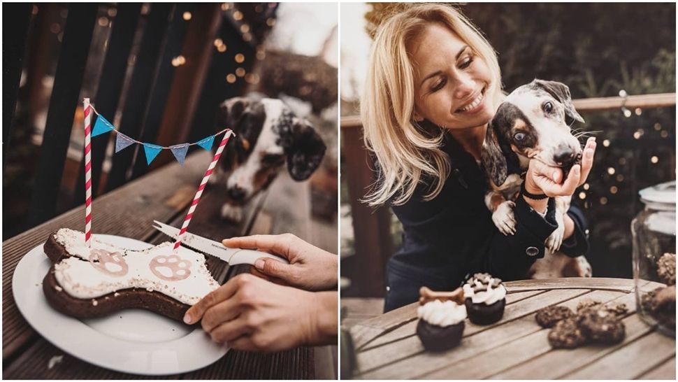 Češka chefica priprema divne torte, sladolede i zdrave slatkiše za pse