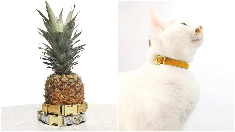 Londonski studio izrađuje divne veganske ogrlice za mace i pse