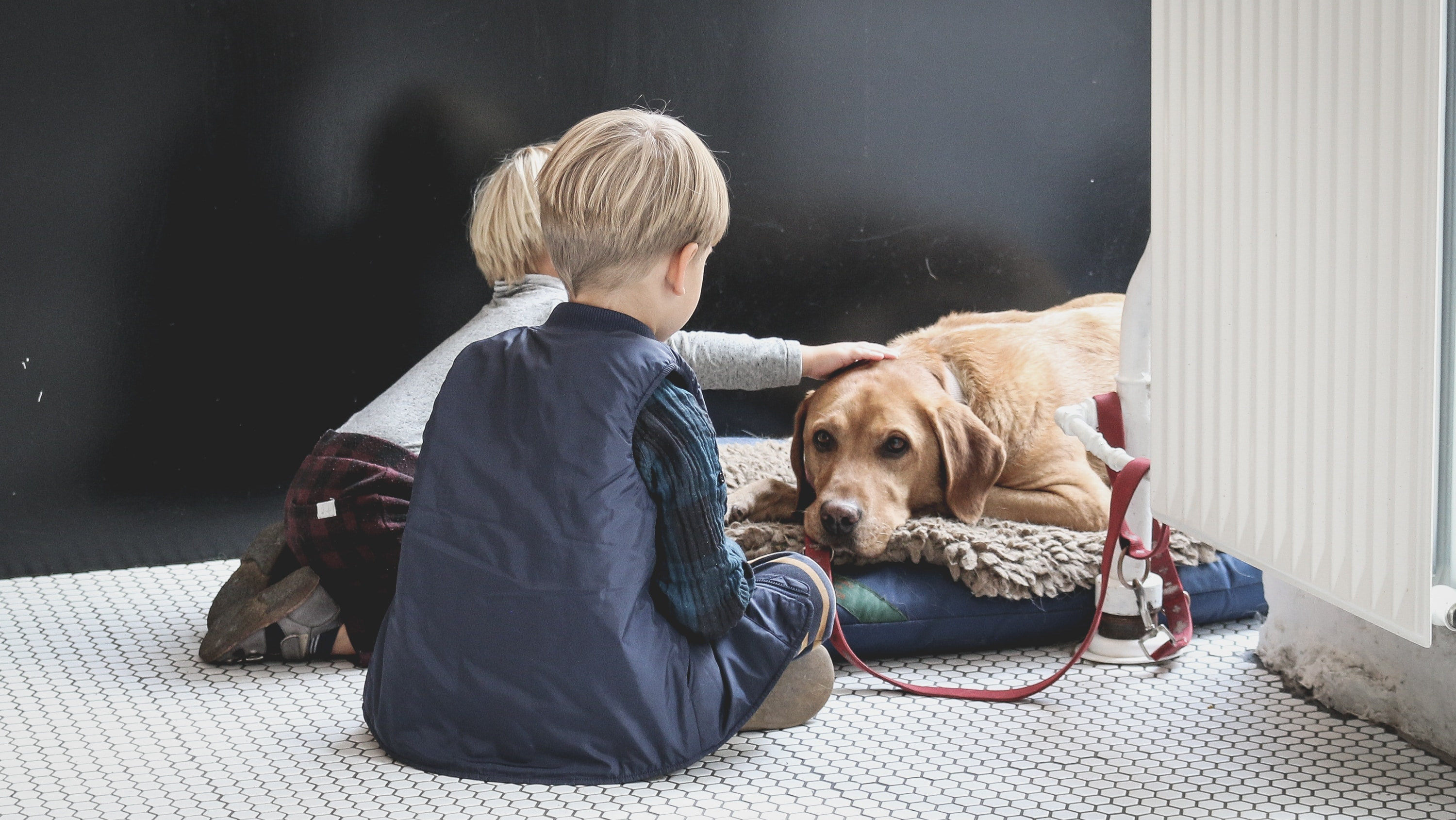 Journal Pets: Ovo su najbolji obiteljski psi