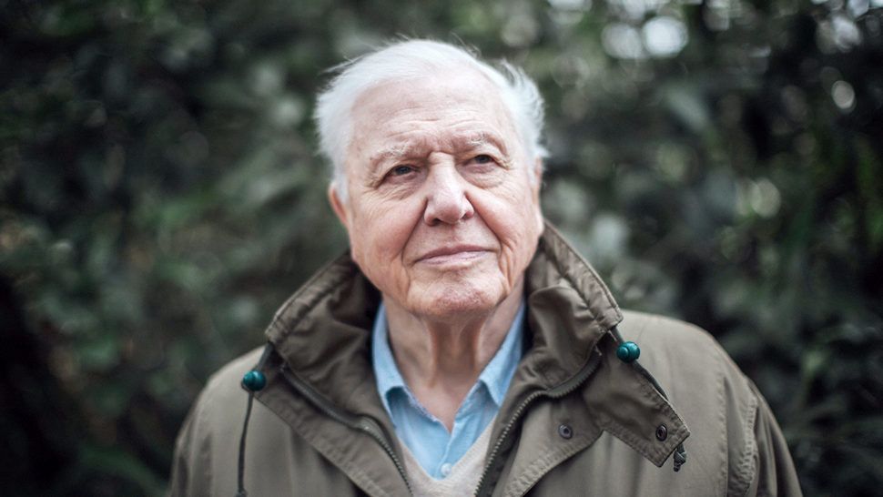 Sir David Attenborough na Plitvice Film Festivalu koji počinje danas