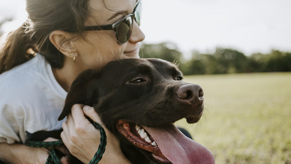 Journal Pets: Kako pseći park može biti dobra i korisna stvar?