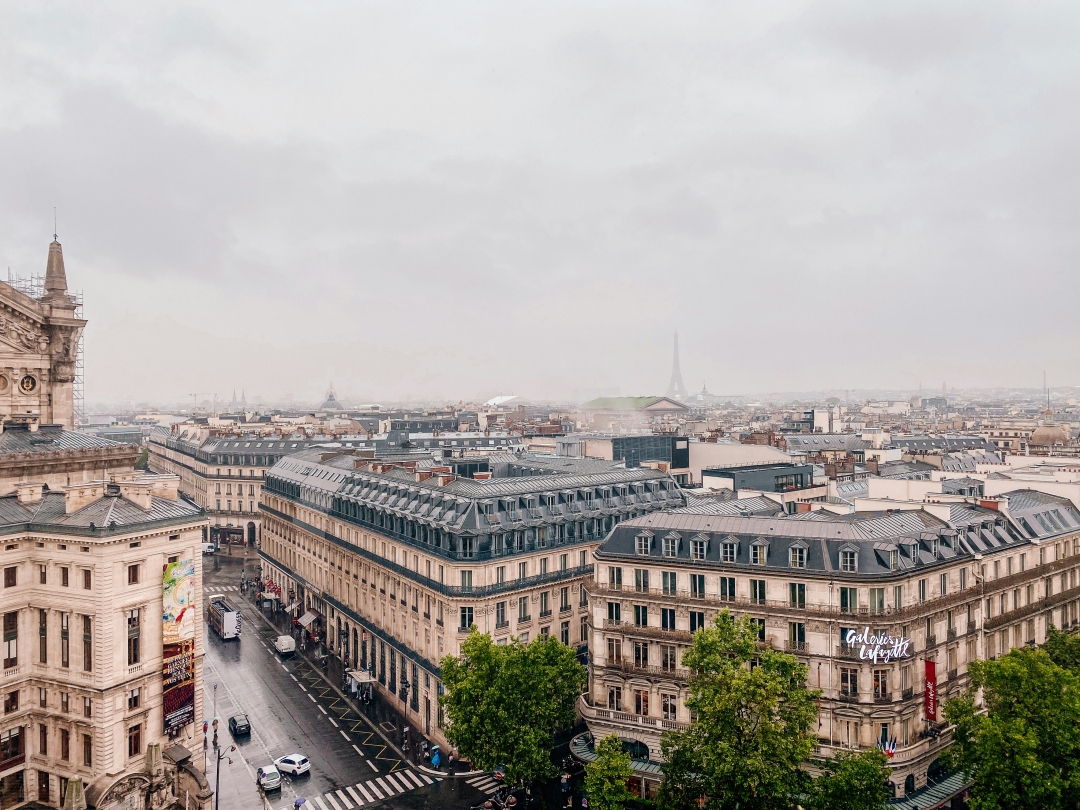 Galeries Lafayette_michelle-williams-rcdA8iTuWng-unsplash