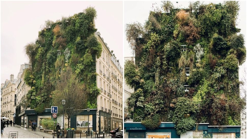 Prekrasni vertikalni vrtovi Patricka Blanca osvojili su Instagram