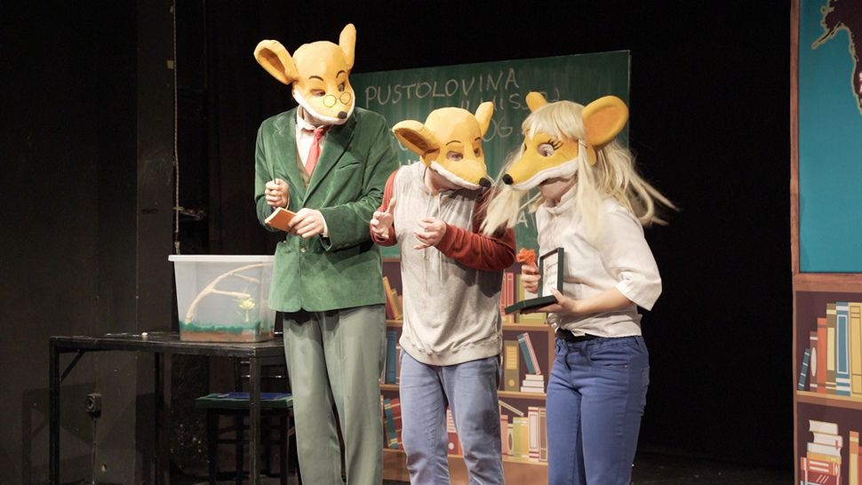 Vodimo vas na dječju predstavu “Geronimo Stilton: Pustolovina u mišjoj školi”