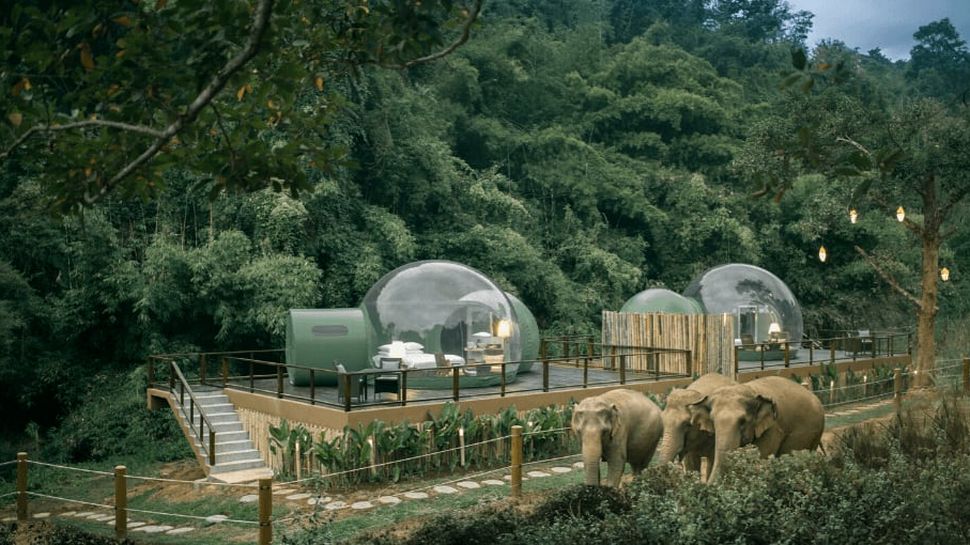 Kupole smještene usred džungle, za odmor pod zvijezdama i u društvu slonova
