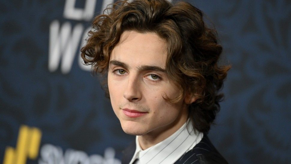 Timothée Chalamet kao Bob Dylan u novom biografskom filmu