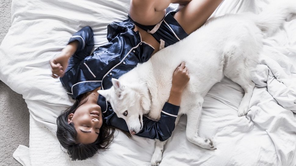 Journal Pets: 11 razloga zašto je prihvatljivo pustiti psa u krevet