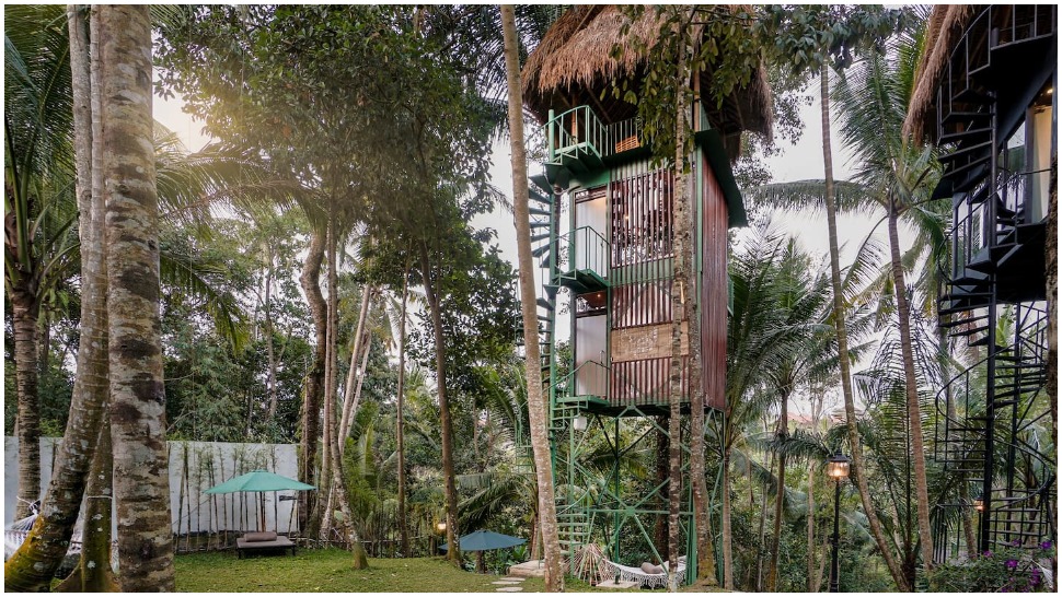 Moderne kućice na drvetu usred džungle su savršeno mjesto za opuštajući odmor