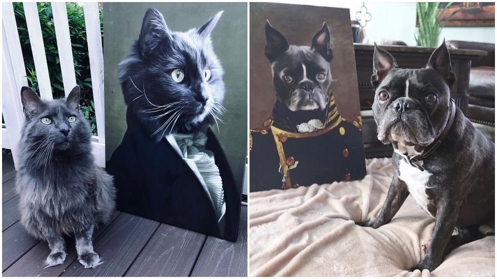 Journal Pets: Pretvorite fotografiju svog ljubimca u renesansno remek-djelo