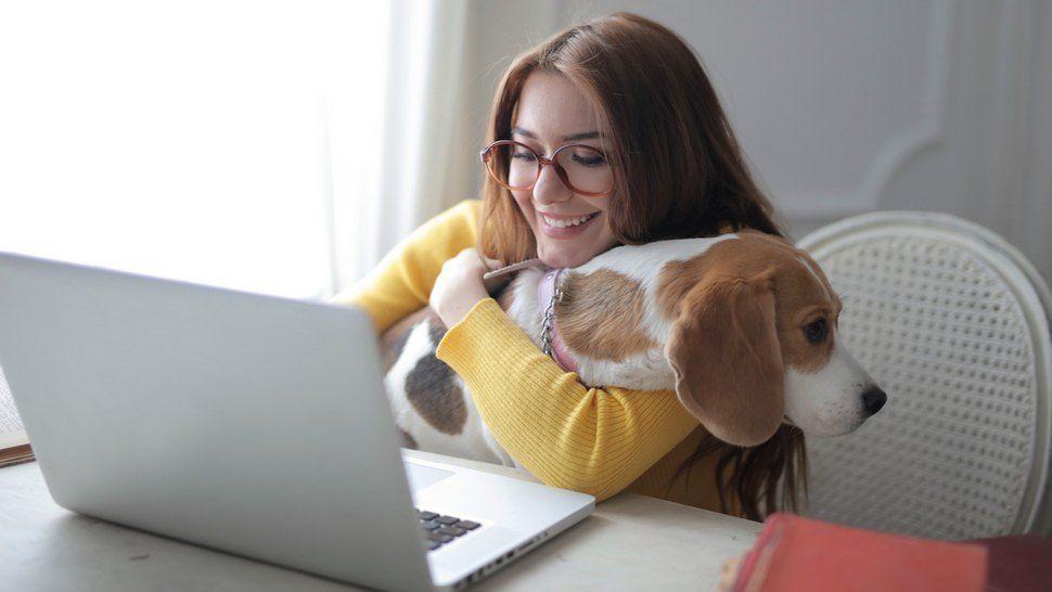 Journal Pets: U ovim web shopovima možete pronaći sve za svoje kućne ljubimce