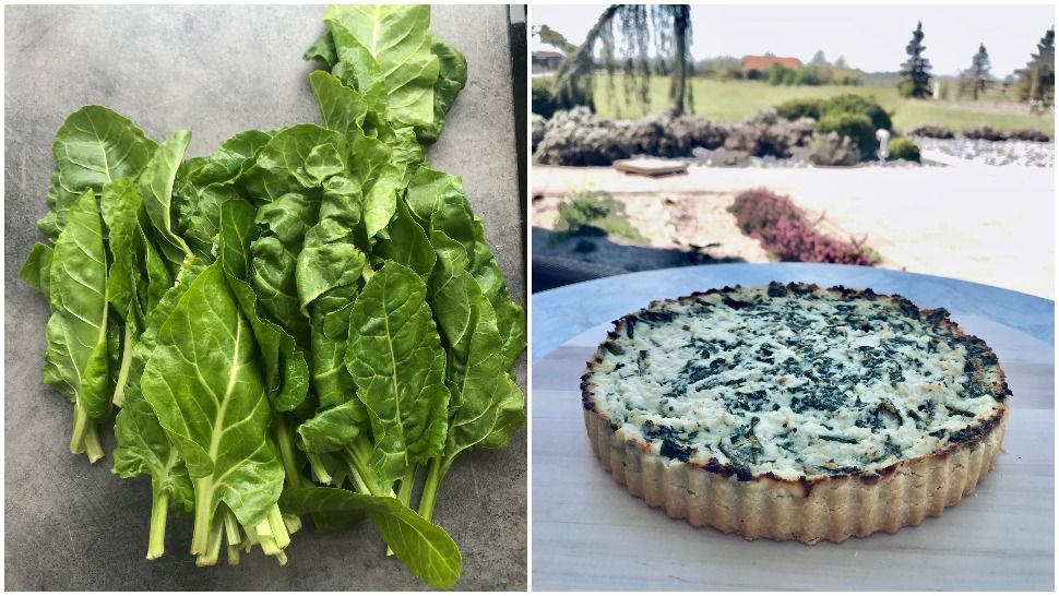 #WeLoveLocal recept: Quiche sa skutom s Paga i mladom blitvom