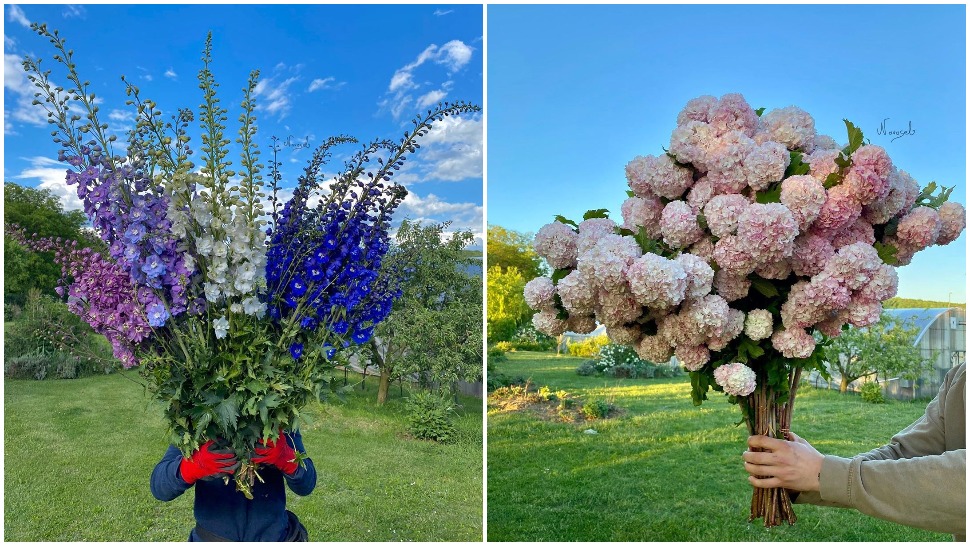 Ovaj domaći OPG ima najljepše cvijeće koje ćete vidjeti na Instagramu
