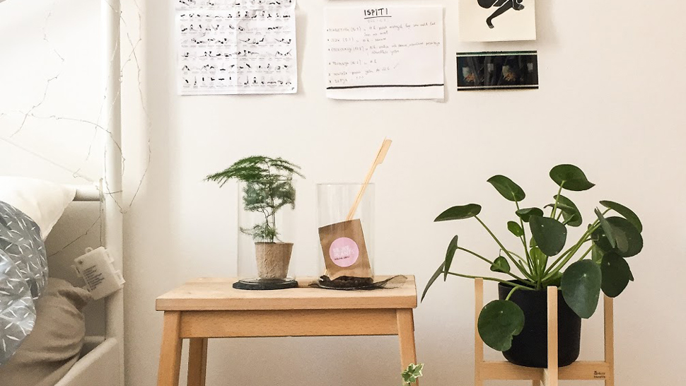 Biljke.plants ima cool DIY set za izradu biljnog terarija