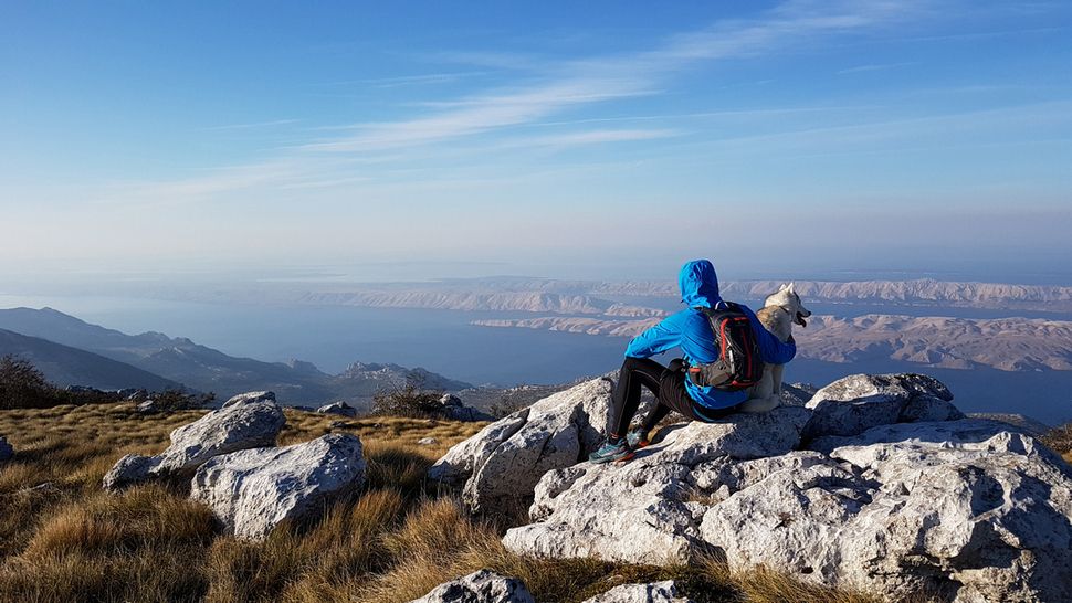 Ante i njegov pas Mishka otkrivaju ljepote Hrvatske, a snimke njihovih avantura će vas očarati