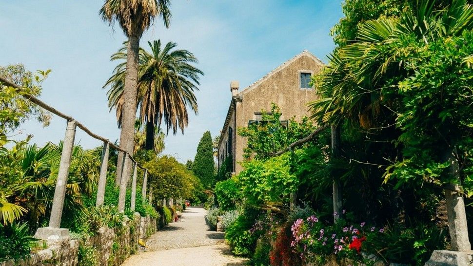 Arboretum Trsteno je predivna zelena oaza na jugu Dalmacije koju morate posjetiti