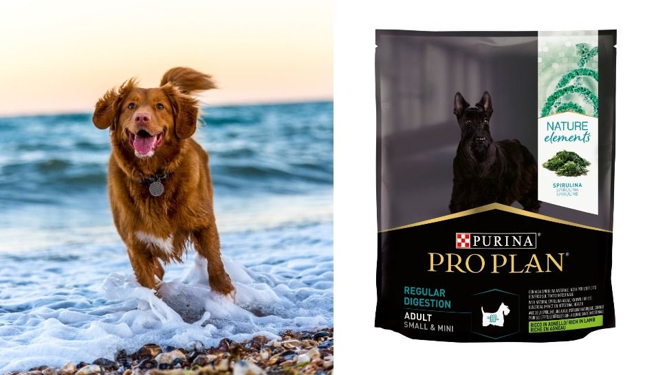 PURINA PRO PLAN: Najbolje iz znanosti za optimalno zdravlje vašeg psa