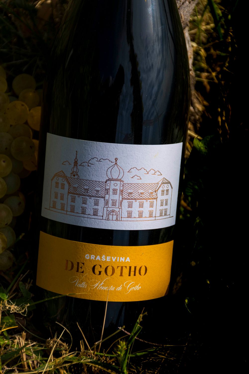 Graševina de Gotho 2018.