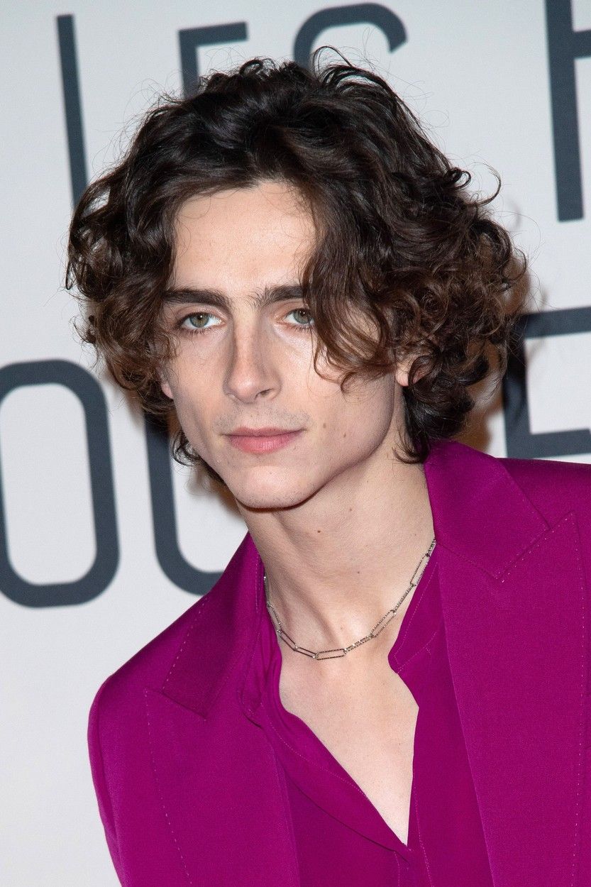 Novi biografski filmovi - Timothee Chalamet