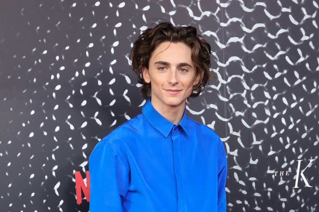 Timothée-Chalamet