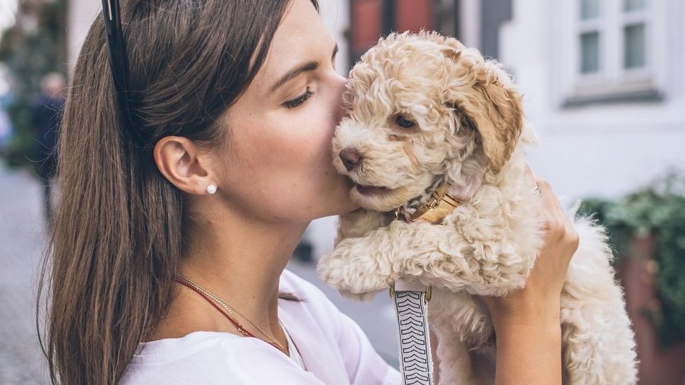 Znate li da psi razumiju kad im kažete ‘volim te’?