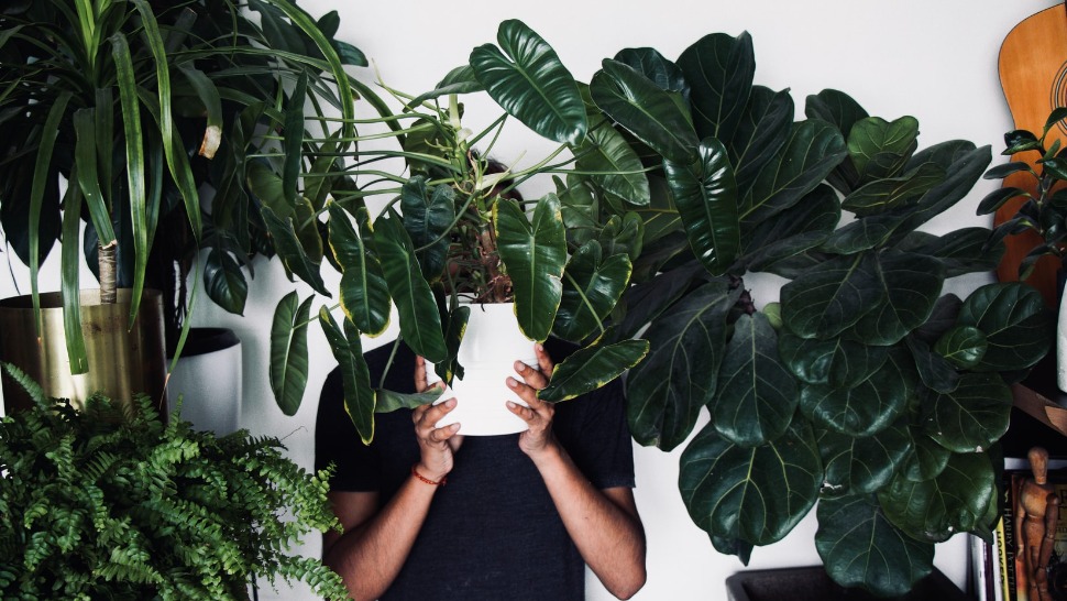 Journal Man: Instagram profili s dečkima koji obožavaju biljke