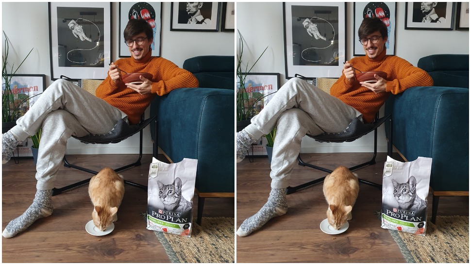 Poznati ljubitelji mačaka podržali su kampanju pod nazivom „Dom je tamo gdje je mačka“