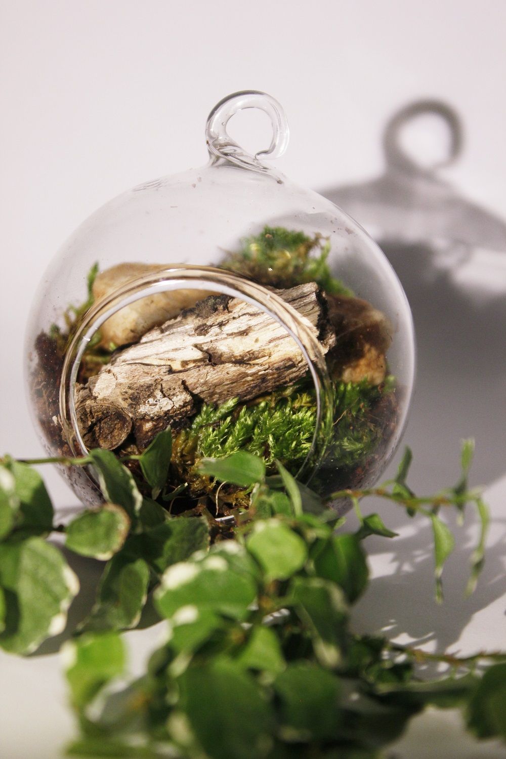Biljke.plants božićne kuglice 2020. 