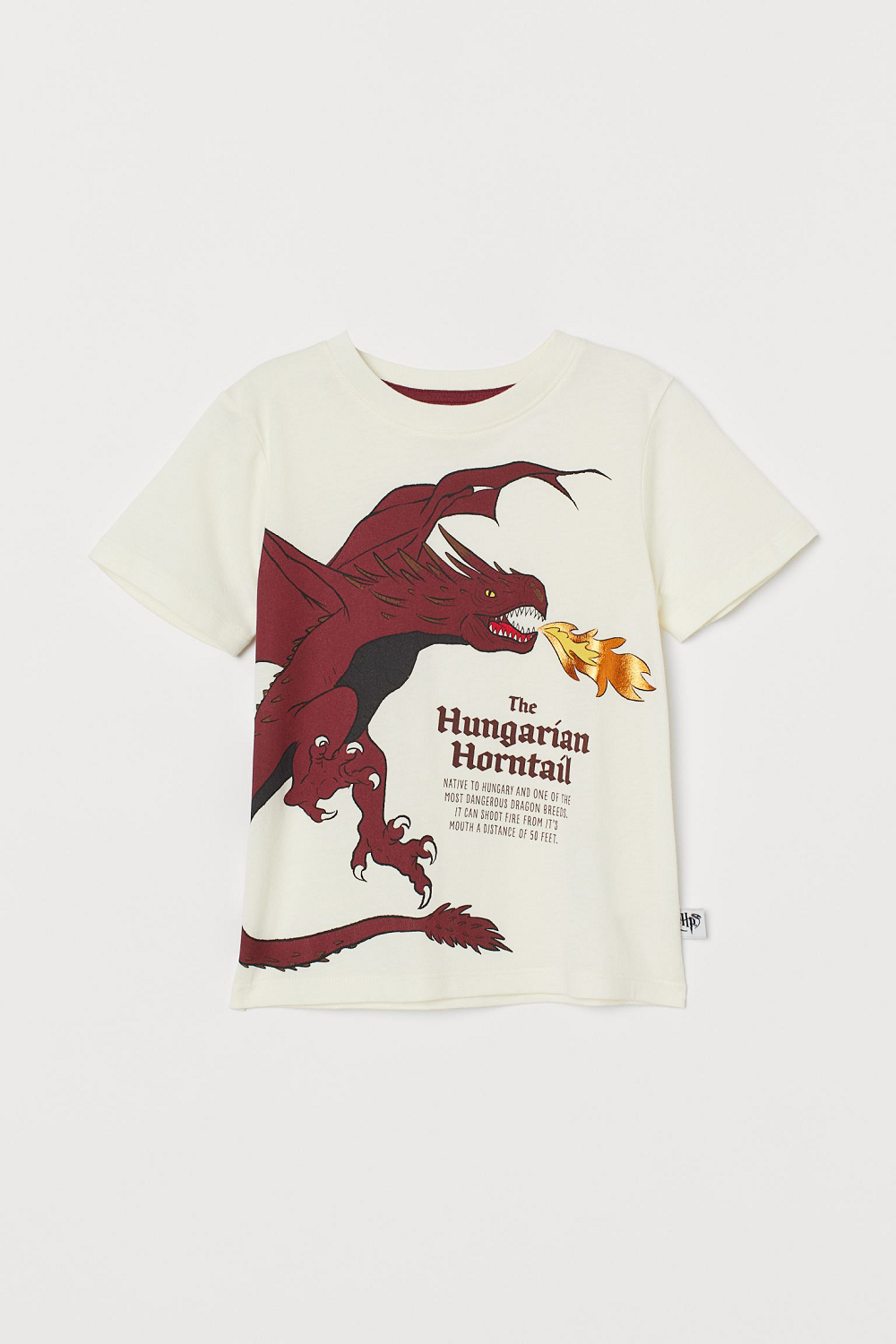 H&M Harry Potter kolekcija za djecu jesen/zima 2020./2021.