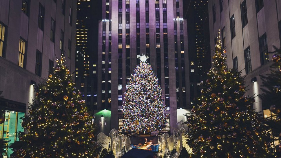 Ovo su najpopularnija božićna drvca diljem svijeta