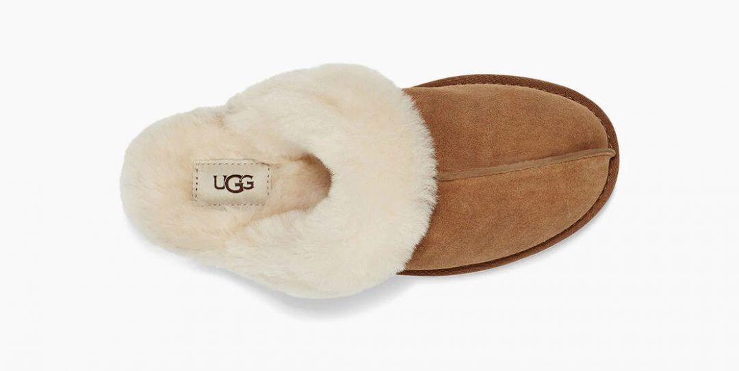 UGG kućne papuče Scuffette model zima 2020. 