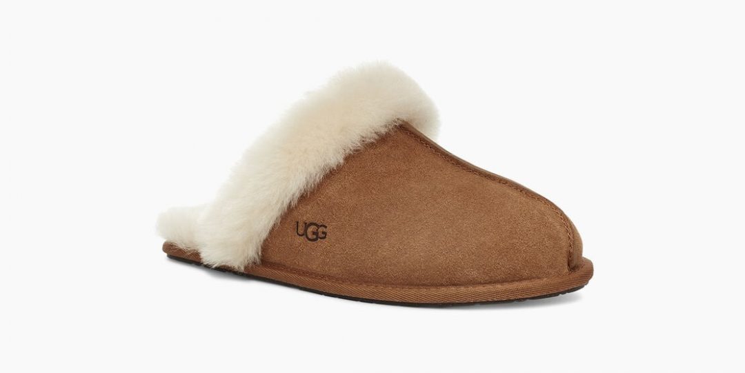 UGG kućne papuče Scuffette model zima 2020. 
