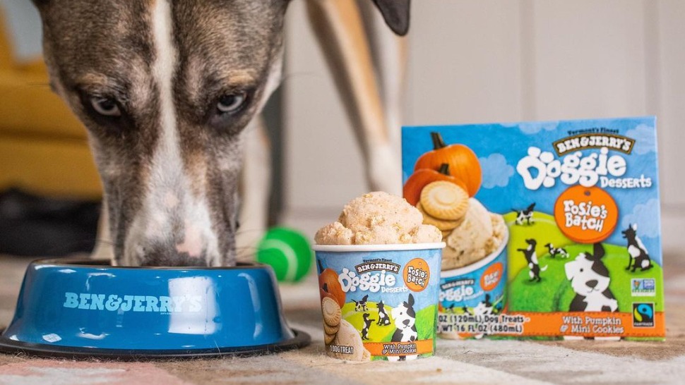 Journal Pets: Obožavani Ben & Jerry’s je lansirao pseći sladoled