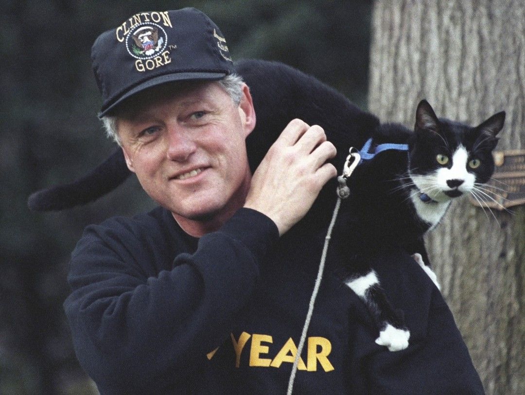 Socks Bill Clinton