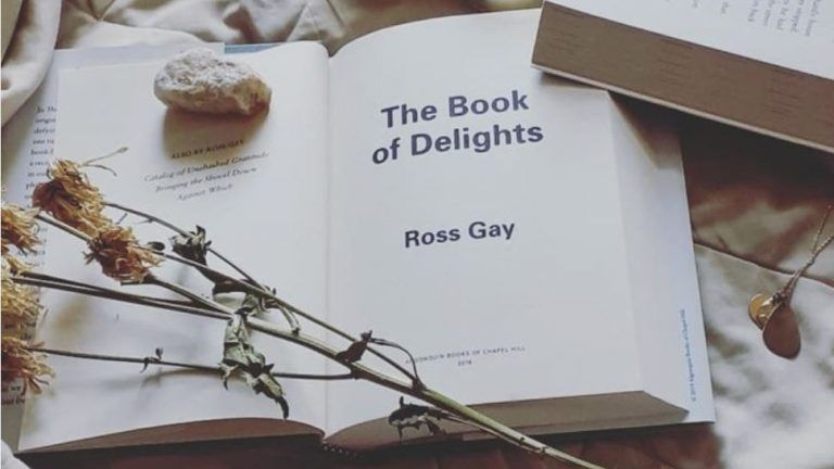 The Book of Delights cover