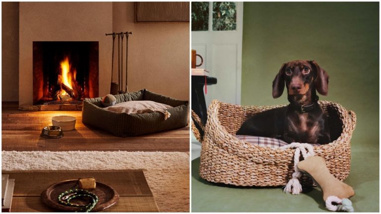 Zara Home Pets Collection