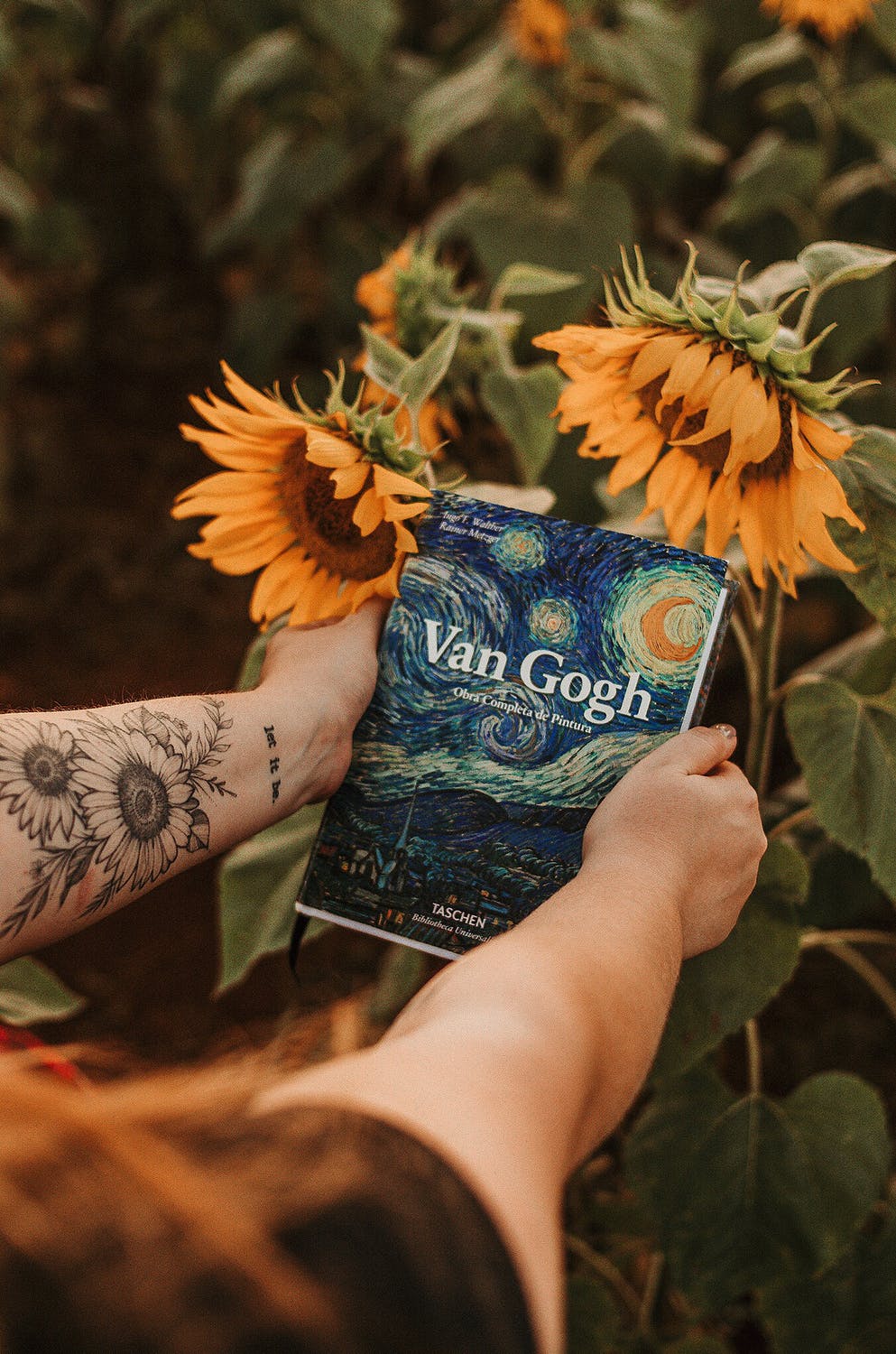 van-gogh_pexels