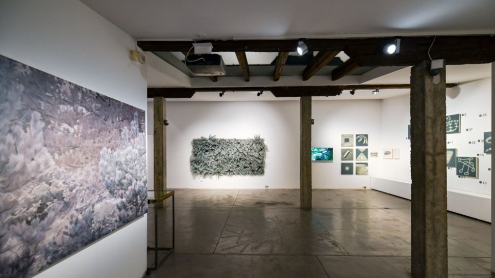 U Galeriji Kranjčar otvara se izložba ‘Umjetnički život biljaka’