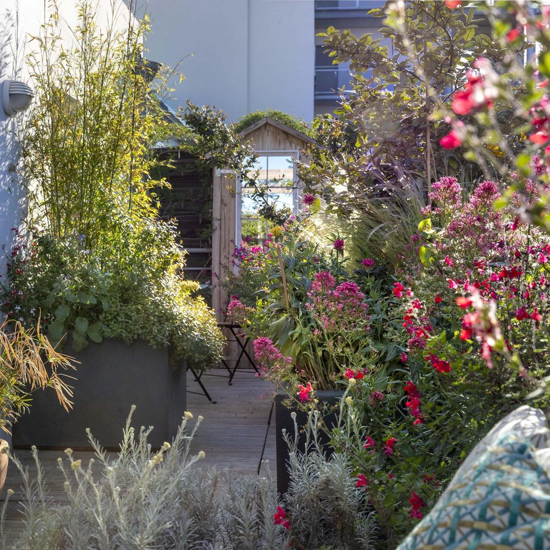 Napravite mali urbani vrt na svom balkonu