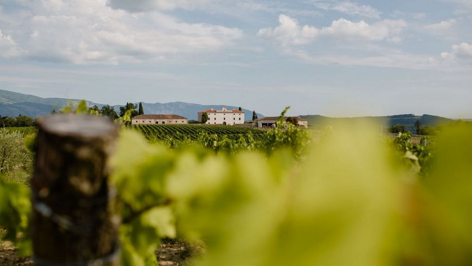 Spektakularni dvorac okružen vinogradima jedan je od najljepših skrivenih bisera Istre