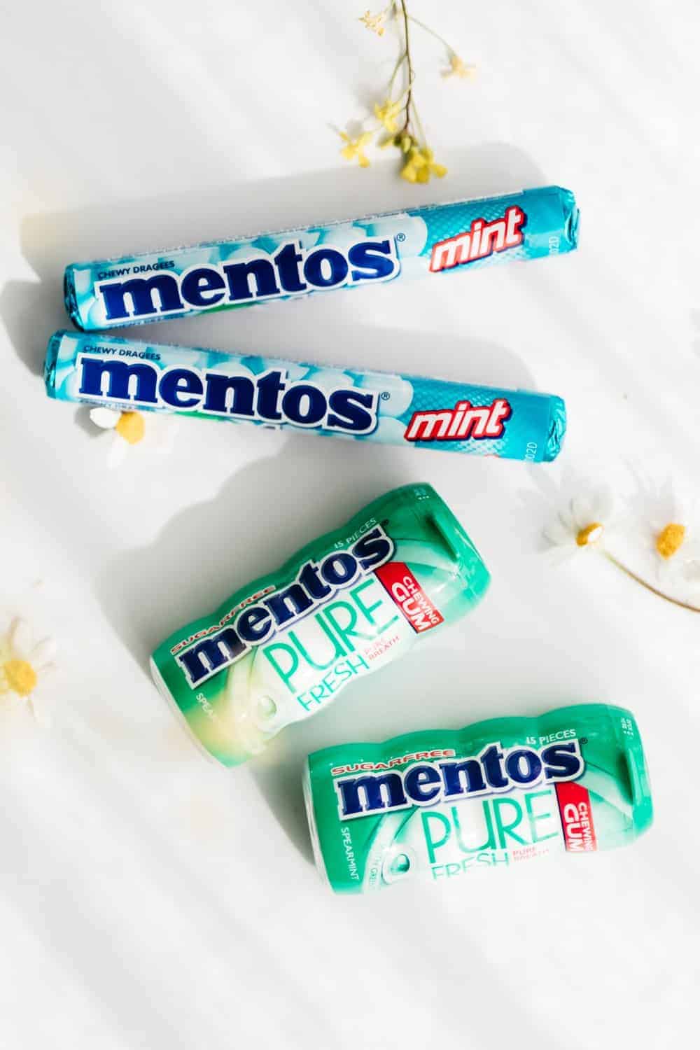 Journal-Spring-Box-Mentos