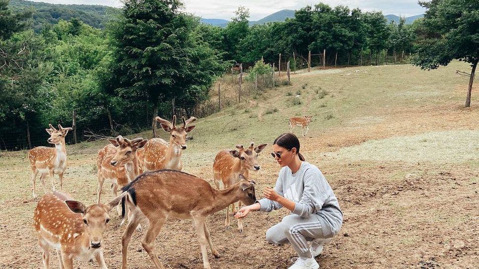 Jeste li već posjetili čarobnu Dolinu jelena kod Plitvica?